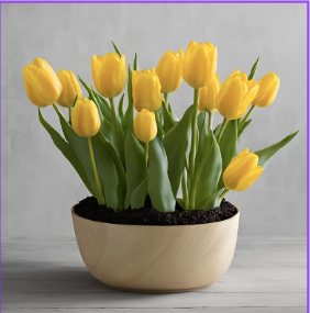 Sunlit Tulip Delight