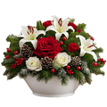 Christmas Grace