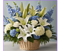 Blue Velvet Garden