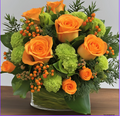 Orange Bliss