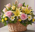 Pastel Garden