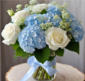 Blue Arrival