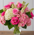 Timeless Blush